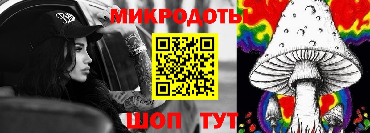 Псилоцибиновые грибы Cubensis Красноармейск
