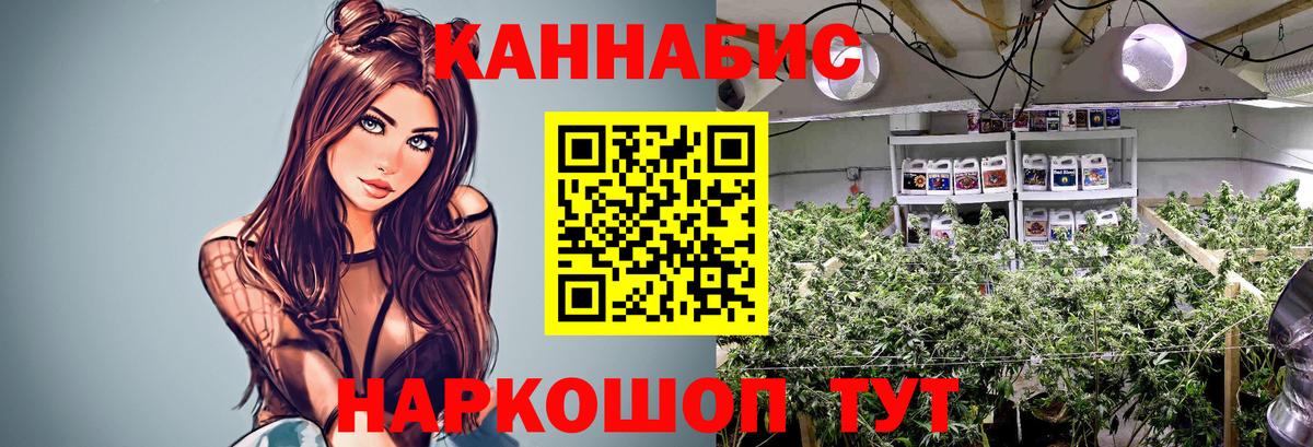 МАРИХУАНА LSD WEED  Марихуана ГИДРОПОН  Красноармейск  Вход с VPN 